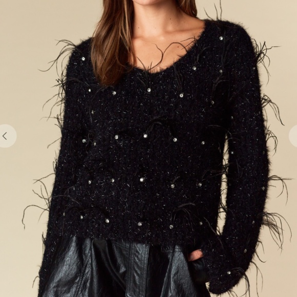 Rareraw “ Katrina “ Rareraw Knit Sweater with Feather and Rhinestone Accents 77 - Picture 1 of 10